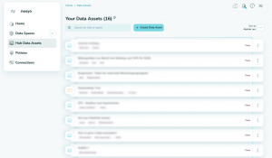 Data Assets